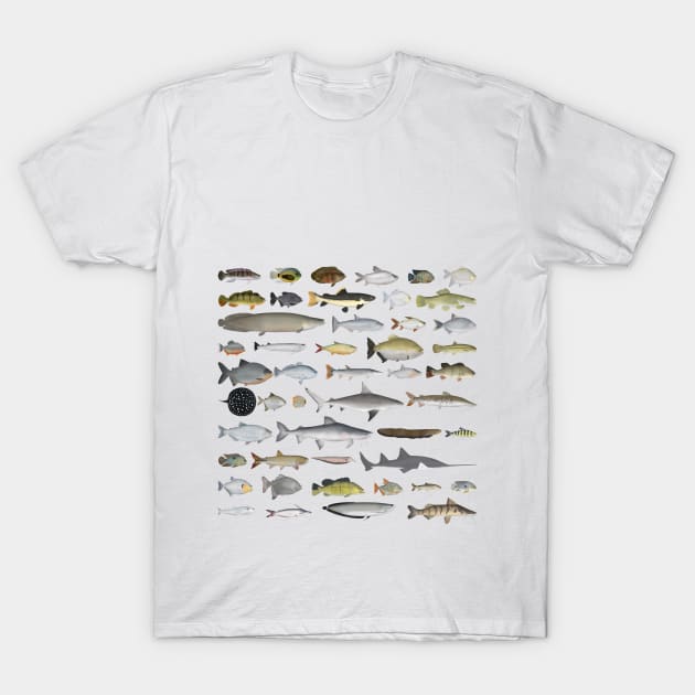 Amazon River Basin Fish Group T-Shirt by FishFolkArt